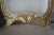 8 Antique Swedish 18th Century Baroque French Louis XV Rococo Gilt Dining Chairs For Sale - Image 4 of 10