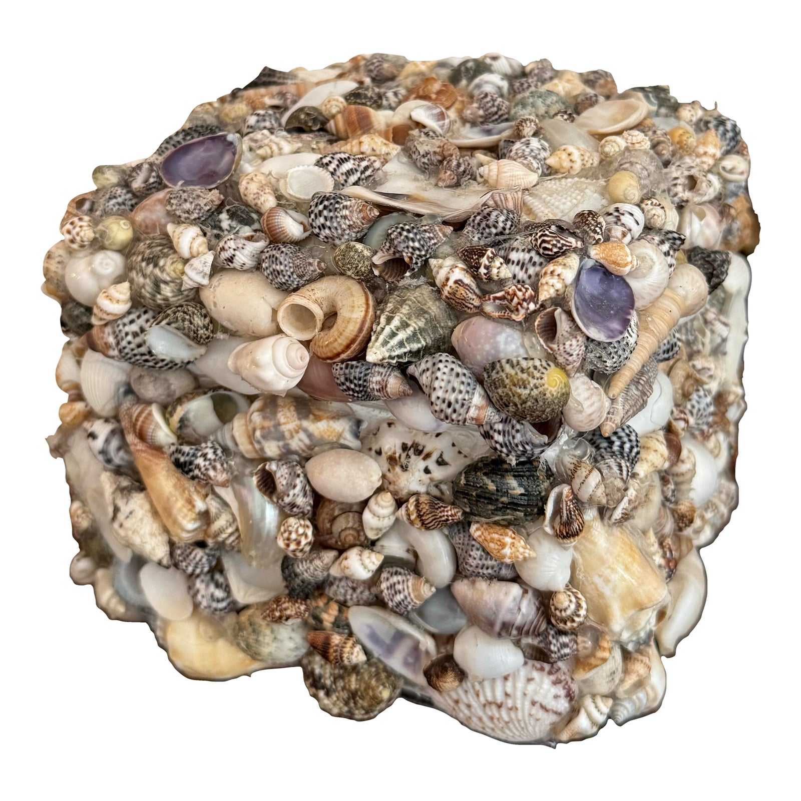 Late 20th Century Vintage Shell Encrusted Lidded Treasure Box | Chairish