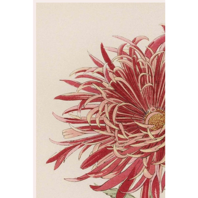 A refined example of late nineteenth-century Japanese botanical illustration, this vintage Japanese botanical art print...