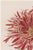 A refined example of late nineteenth-century Japanese botanical illustration, this vintage Japanese botanical art print...