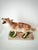 A striking vintage full-body howling coyote thoughtfully presented on a new handcrafted live-edge wood display base...