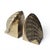 Metal Vintage Hollywood Regency Solid Brass Scallop Shell Bookends - Pair For Sale - Image 7 of 9