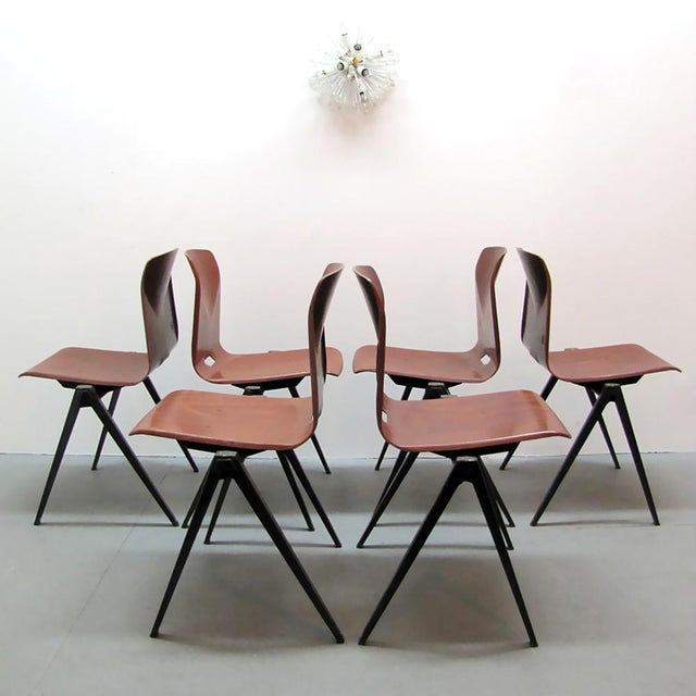 Brown Industrial Dining Chairs by Elmar Flötotto, 1970 For Sale - Image 8 of 10