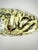 Bring a touch of the wild indoors with this beautifully hand-painted tiger art stone, signed by the artist "Lisa." Created...