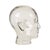 Heavy Glass Head Display Mannequin for Headphones, 1960s For Sale - Image 3 of 16