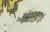 Bertuch, Swallowtail and Painted Lady Butterflies, 1800, Engraving For Sale - Image 4 of 10