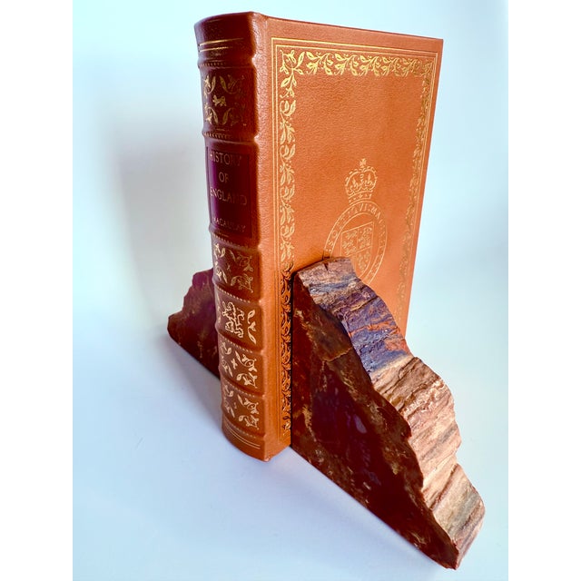 Vintage MCM Pair of Petrified Wood Bookends Arizona Rainbow For Sale - Image 4 of 14