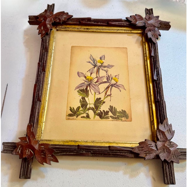 Mid 19th Century Lyman Byxbe “Columbine” and “Wild Rose” Prints in Criss Cross Corner Frames - Set of 2 For Sale - Image 12 of 12
