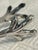 Metal 1900 Reed and Barton “Kings” Silver Plate Talon Ice Tongs For Sale - Image 7 of 9
