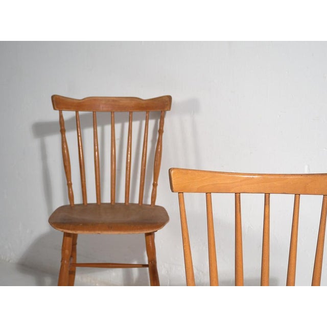 Mid-Century Modern Set of Vintage Chairs from Thonet, 1950s For Sale - Image 3 of 15