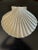 Vintage Enameled Aluminum Scallop Seashell Serving Platter For Sale - Image 10 of 11