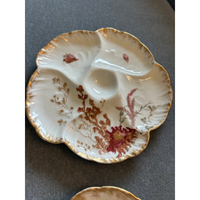 Antique Sea Life Oyster Plates CFH - Charles Field Haviland Limoges France For Sale In Philadelphia - Image 6 of 7