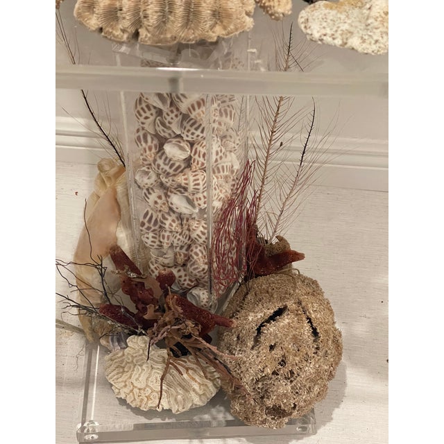 Vintage Grotto Sea World Sea Shells Floor Lamp For Sale - Image 9 of 11