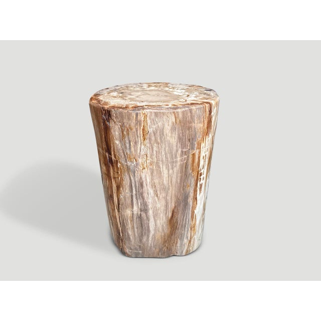 2020s Andrianna Shamaris Coral Toned High Quality Petrified Wood Side Table For Sale - Image 5 of 6
