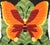 The wings of this butterfly have definitely kissed the sun and the bold colorful shades of orange, yellow, rusty browns...
