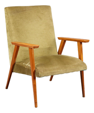 Vintage Lounge Chair in Beech, 1960s