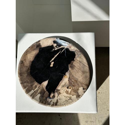 Large Vide-Poche or Dish in Petrified Wood For Sale - Image 16 of 18