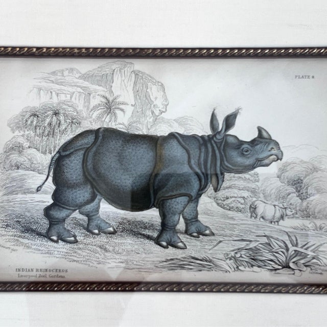 Pair of antique engravings of Rhinoceroses signed Stewart and Lixars // set of two // custom framing // burlwood frames // collectible For Sale - Image 4 of 10
