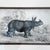 Pair of antique engravings of Rhinoceroses signed Stewart and Lixars // set of two // custom framing // burlwood frames // collectible For Sale - Image 4 of 10