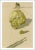Artist: Salvador Dali Country: Spain Title: Hell 23 – The Punishment of hypocrites Medium: Original Woodcut Marks: Not...