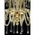 Glass Ornate Imperial Venetian Chandelier with Gold Curled Murano Glass by Simoeng For Sale - Image 7 of 9