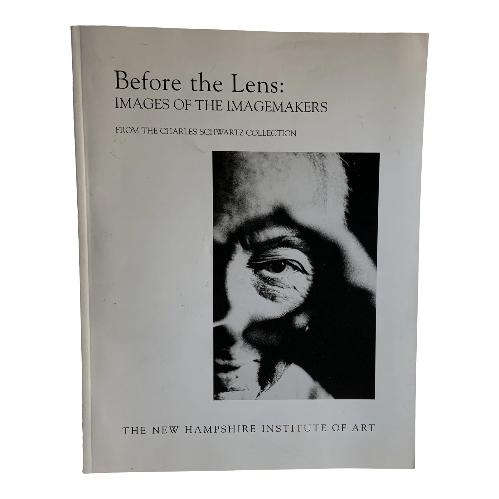 Colossus in the kitchen by adrienne schwartz essay 08 picture