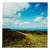 Paul Cooklin, Dunkery Beacon IV, Exmoor, Edition of 50 For Sale