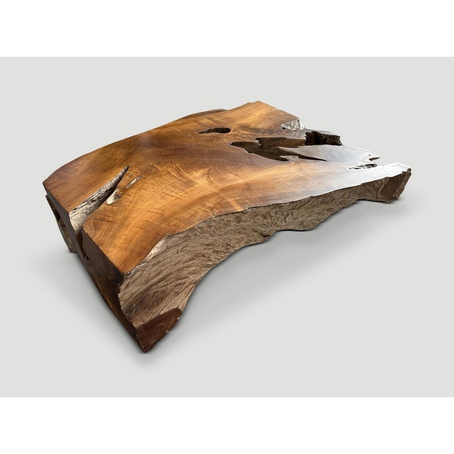 Andrianna Shamaris Impressive Single Teak Root Coffee Table For Sale In New York - Image 6 of 18