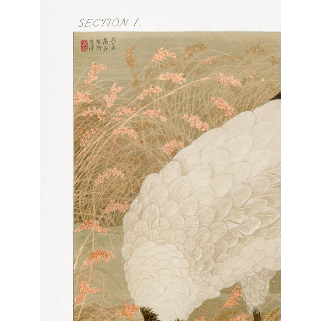 Sarus Crane in Rice Field by George Ashdown Audsley is a refined Japanese art print reproduction drawn from an original...