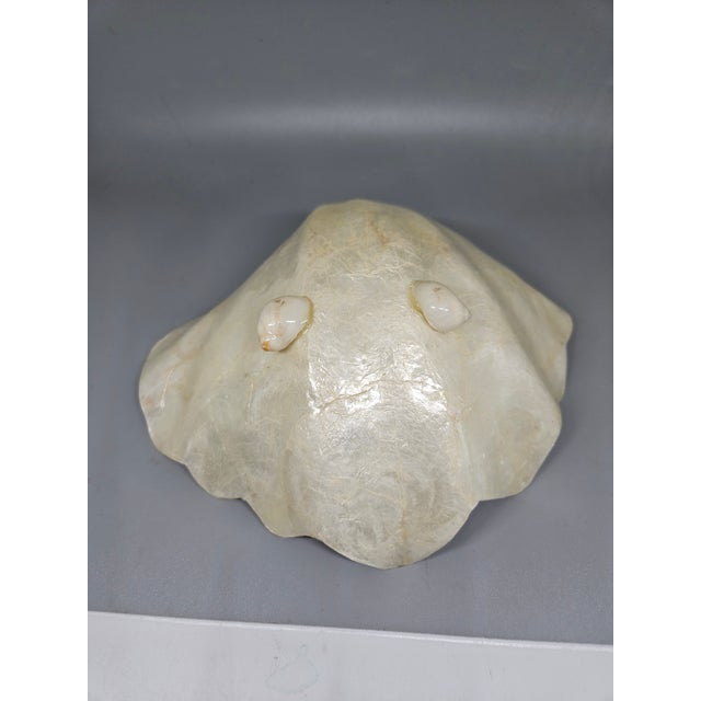 Capiz Shell Bowl-Bowl Made Out Of Shell-