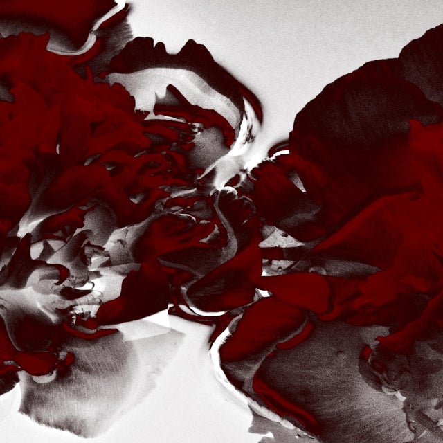 Ugne Pouwell, Blooms in Red, 2026, Paper, Limited Edition of 20 For Sale