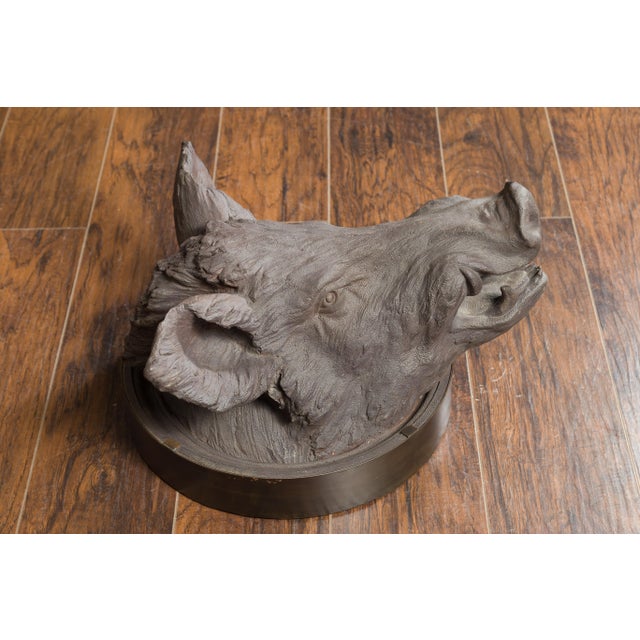 English English 1880s Terracotta Hog Head Mounted on New Custom Circular Iron Frame For Sale - Image 3 of 12