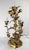 English 19th Century Electrified Floral Poppy Flower Bronze Candelabra Table Lamp For Sale - Image 3 of 18