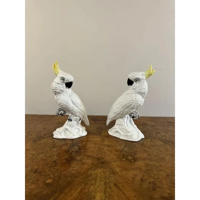 Elegant pair of mid century cockatoos by T.J Jones having a quality pair of cockatoos perched on a shaped base with...
