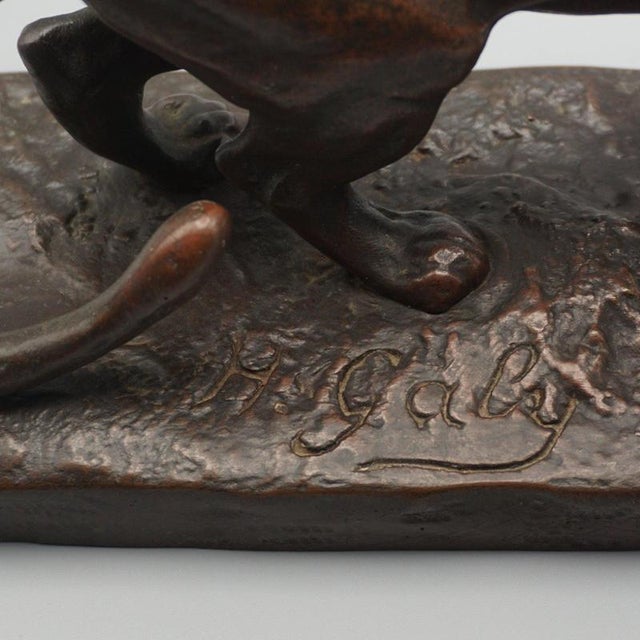 1920s Hippolyte Marius Galy, Panther, 1920s, Bronze For Sale - Image 5 of 8