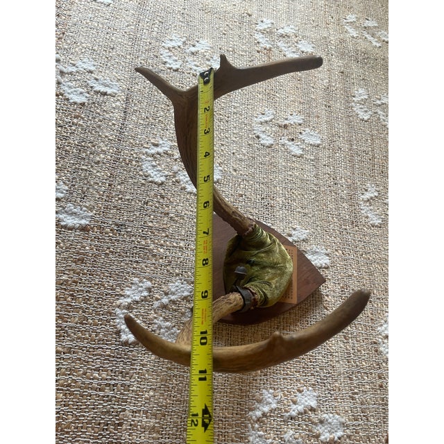 1948 Wall Hanging Vintage Antler Wall Hanging Plaque Mount With Velvet For Sale - Image 9 of 11