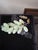 Asian Asian Stone Fruit Collection Group of Three For Sale - Image 3 of 13