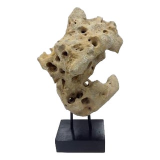 Indonesian Coral Stone On Teak Stand For Sale