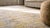 Cream 1920s White Cream Medallioni Antique Indian Cotton Agra Rug 4'2" X 6'4" Handknotted Wool Carpet For Sale - Image 8 of 10