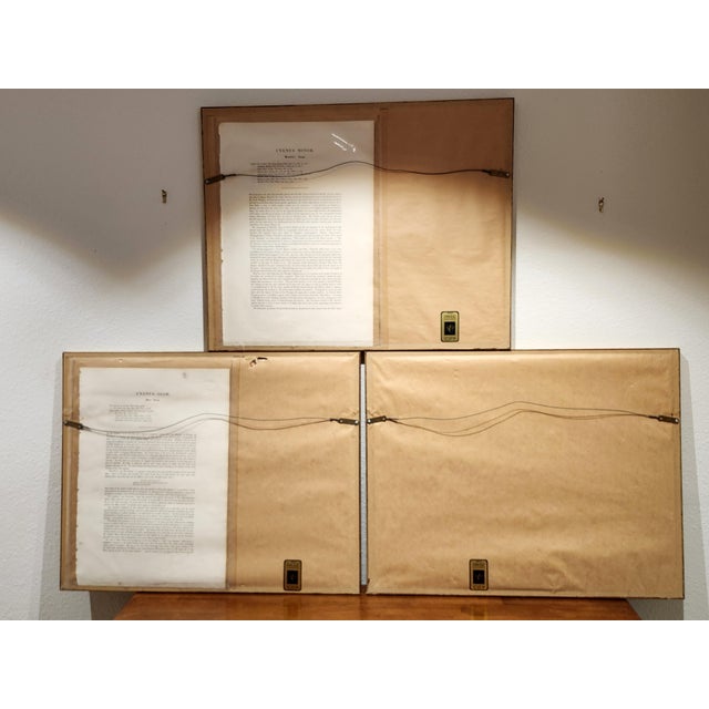 Mid 19th Century Three Swans by John Gould From Birds of Great Britian 1862-1873 For Sale - Image 5 of 11