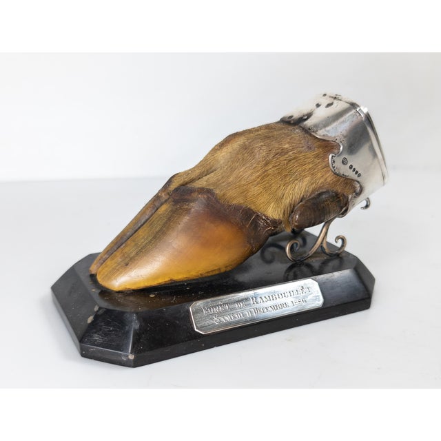 English 19th Century English Sterling Silver Mounted Deer Hoof Hunting Trophy For Sale - Image 3 of 13