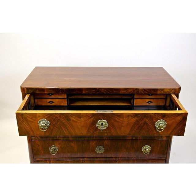 Early 19th Century 19th Century Biedermeier Chest of Drawers, Austria, 1830s For Sale - Image 5 of 18