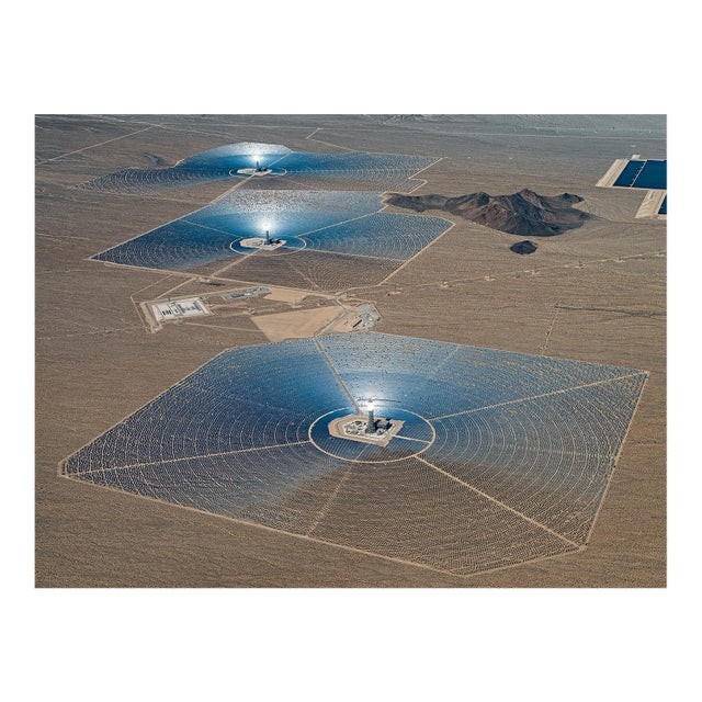 "AV_Solar_Plants_015" Contemporary Limited Edition Fine Art Photograph by Bernhard Lang For Sale