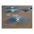 "AV_Solar_Plants_015" Contemporary Limited Edition Fine Art Photograph by Bernhard Lang For Sale