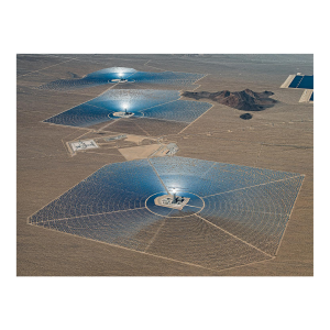 "AV_Solar_Plants_015" Contemporary Limited Edition Fine Art Photograph by Bernhard Lang