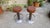 Dwarf Stools in Chromed Iron with Padded Seat, 1970s, Set of 4 For Sale - Image 13 of 18