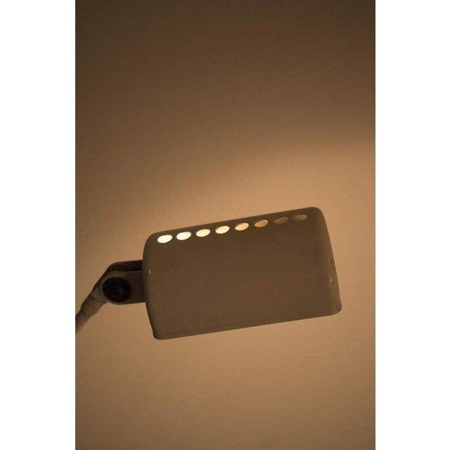 Daphine Terra Floor Lamp from Lumina For Sale - Image 4 of 10