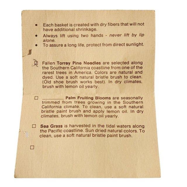 1980s Torrey Pine Needle Basket by Fran Kraynek Prince & Neil Prince For Sale In Boston - Image 6 of 7