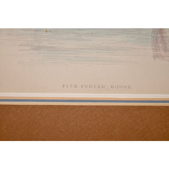 19th Century Beverley Morris Engraving For Sale - Image 4 of 6