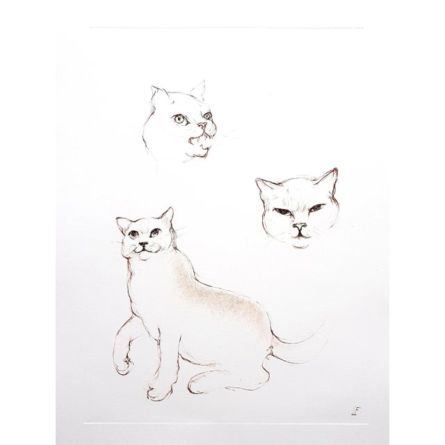 Leonor Fini - Cats - Original Etching 1985 For Sale - Image 9 of 9
